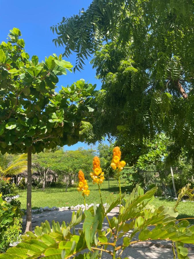 Botanica Eco Lodge Michamvi Kae Ngoại thất bức ảnh
