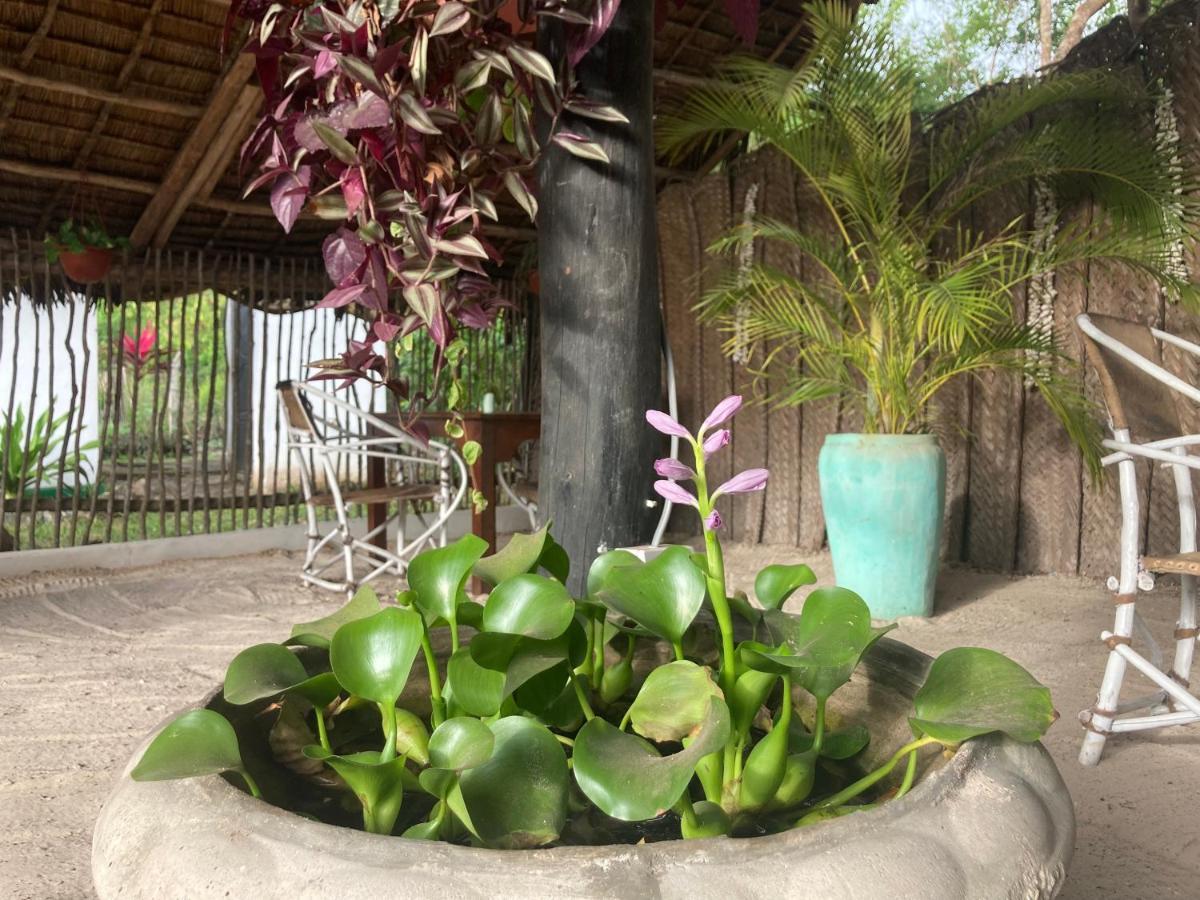 Botanica Eco Lodge Michamvi Kae Ngoại thất bức ảnh