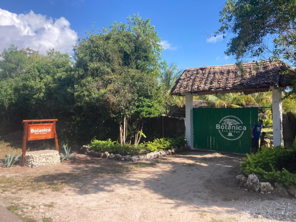 Botanica Eco Lodge Michamvi Kae Ngoại thất bức ảnh
