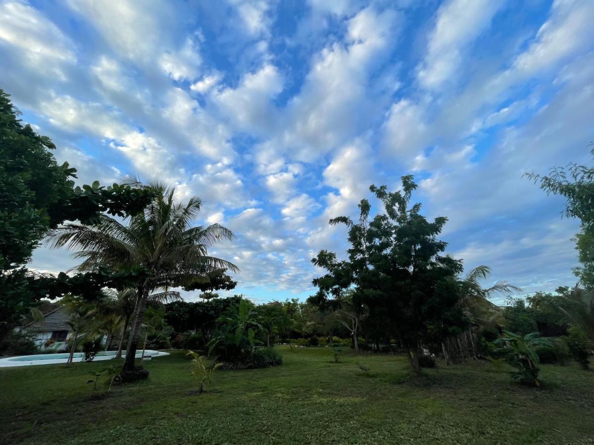 Botanica Eco Lodge Michamvi Kae Ngoại thất bức ảnh