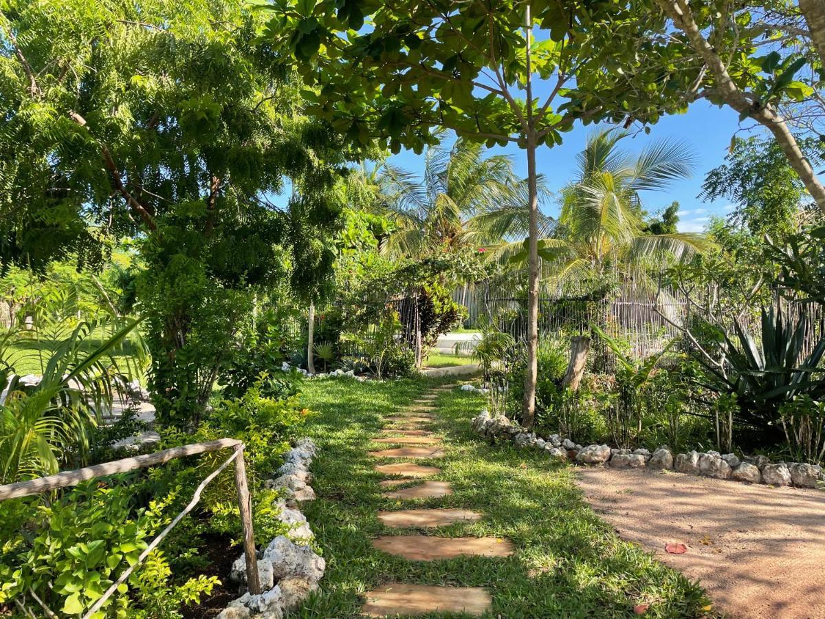 Botanica Eco Lodge Michamvi Kae Ngoại thất bức ảnh