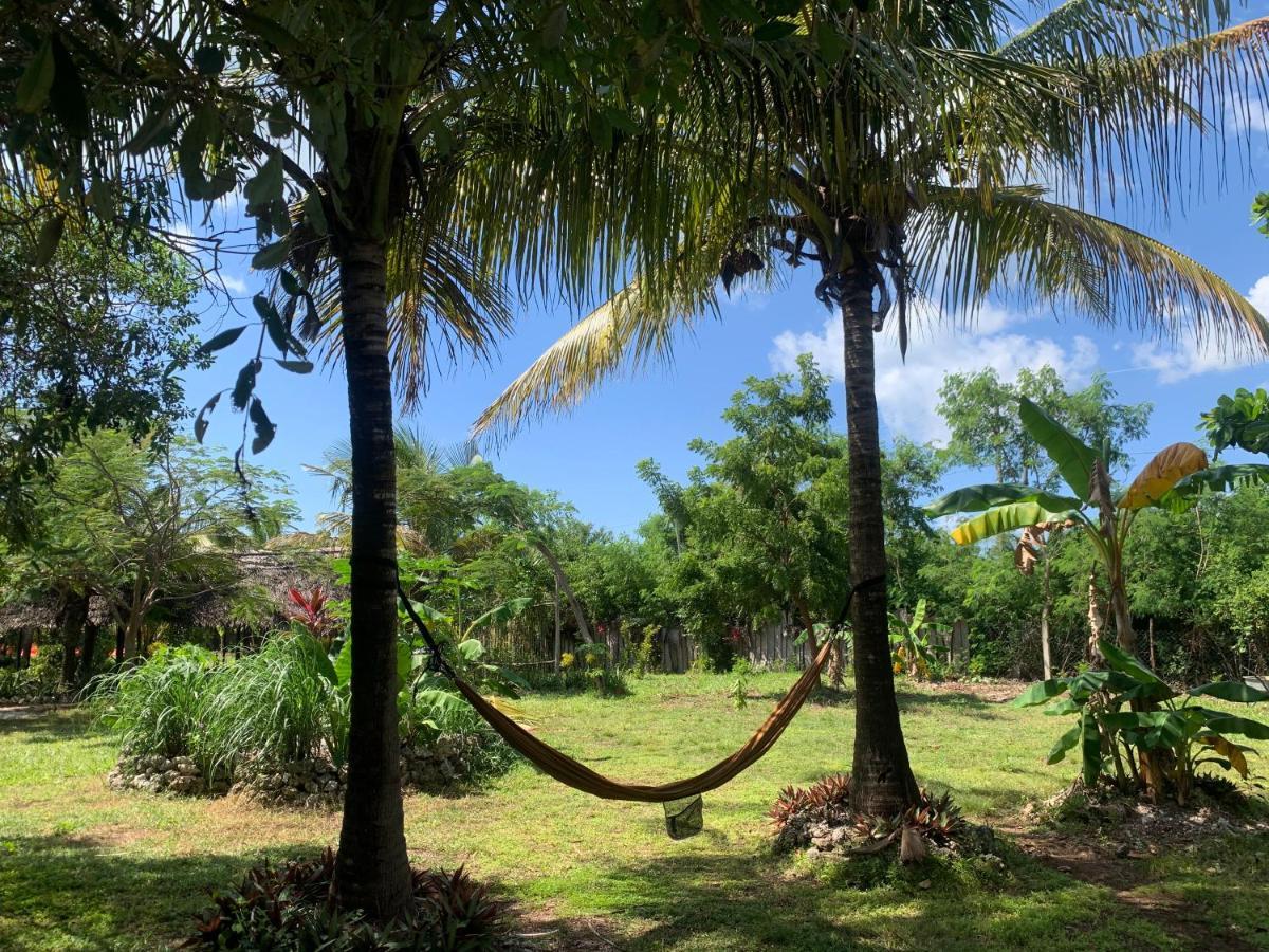 Botanica Eco Lodge Michamvi Kae Ngoại thất bức ảnh
