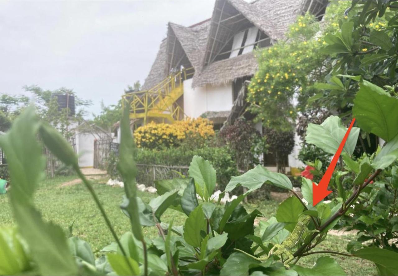 Botanica Eco Lodge Michamvi Kae Ngoại thất bức ảnh